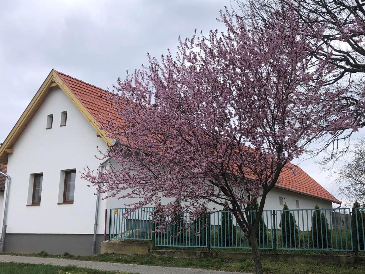 Fazekas Vendeghaz Hotel Balatonkeresztur Luaran gambar